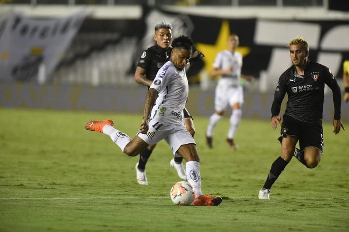 Santos perde para a LDU na Vila, mas avança às quartas de final da  Libertadores | GZH