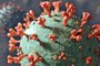  03/12/2020- Ilustração do coronavirus. Foto: Jonatan Sarmento  / Agencia RBS<!-- NICAID(14659755) -->