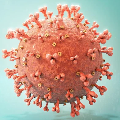  03/12/2020- Ilustração do coronavirus. Foto: Jonatan Sarmento  / Agencia RBS<!-- NICAID(14659754) -->