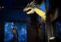 "Animais fantásticos" de J.K. Rowling e da vida real ganham exposição em museu de Londres
