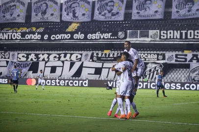  Libertadores 2020 16/12/2020 - Santos - SP - Brazil - Copa CONMEBOL Libertadores 2020 - Santos(BRA) VS. Gremio(BRA), no Estadio Urbano Caldeira na Vila Belmiro e Santos.Indexador: Duda Bairros<!-- NICAID(14670260) -->