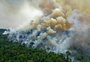 Mudanças climáticas terão impacto na produção de alimentos brasileiros, alerta relatório de órgão da ONU