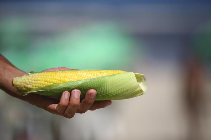 Lauro Alves / Agencia RBS