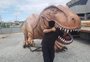 Free shop do dinossauro recebe "ok" da Receita Federal para funcionar
