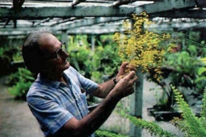 Acervo da família de José Lutzenberger / Arquivo Pessoal Acervo da família de José Lutzenberger / Arquivo Pessoal