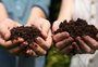 Compostagem: projeto fortalece consciência ambiental ao transformar resíduos orgânicos em adubo em Caxias do Sul