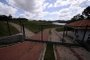 CAXIAS DO SUL, RS, BRASIL, 05/02/2021 - Parque Cinquentenário e parque das Araucárias serão reaberto ao público. NA FOTO: parque das Araucárias, com mato crescendo. (Marcelo Casagrande/Agência RBS)<!-- NICAID(14708111) -->
