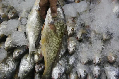 PORTO ALEGRE, RS, BRASIL, 10-04-2017: Feira do Peixe no Largo Glênio Peres, junto ao Mercado Público, na região central. (Foto: Mateus Bruxel / Agência RBS)<!-- NICAID(12845090) -->