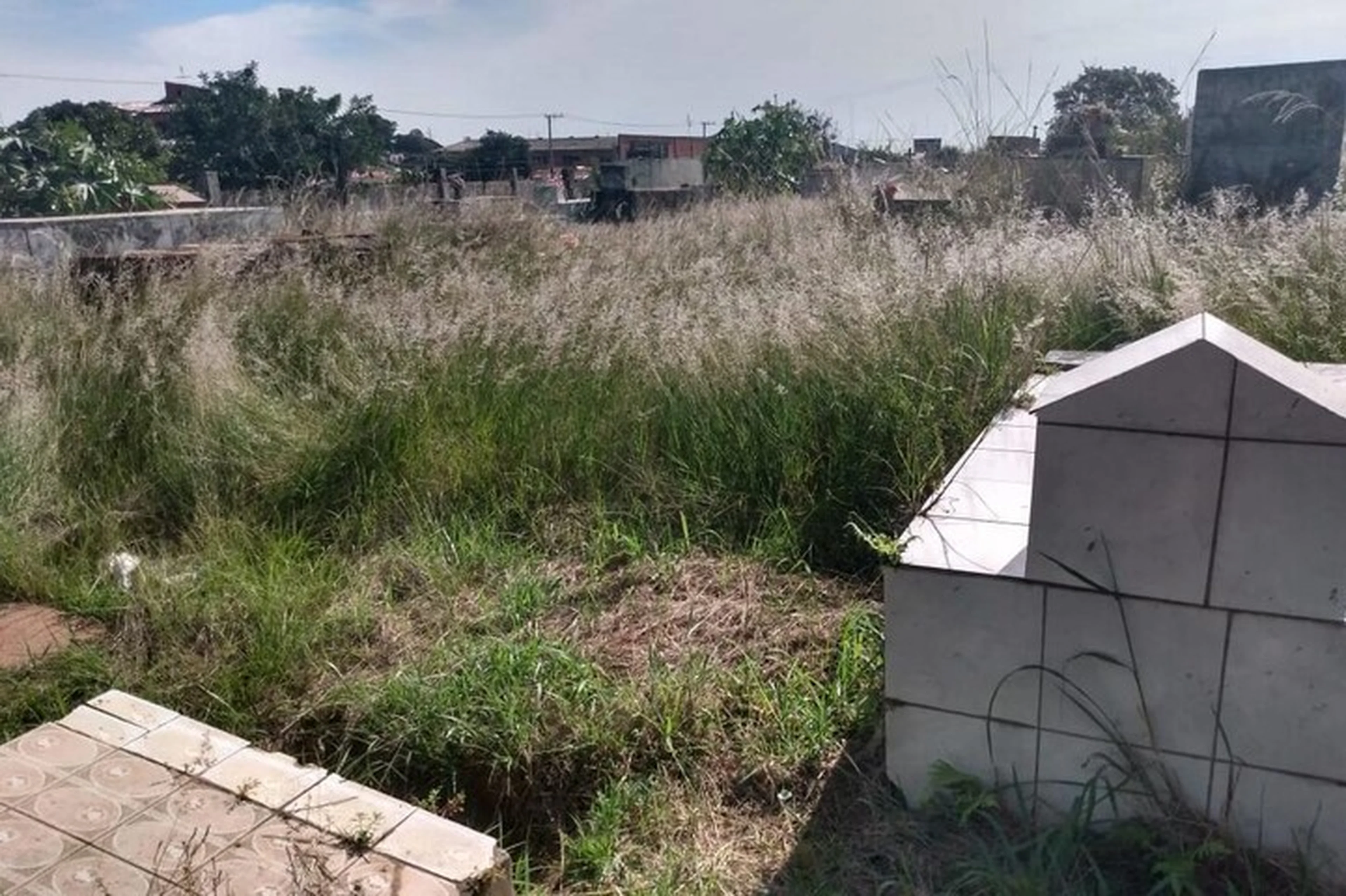 Arquivo Pessoal/Arquivo Pessoal