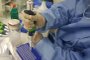 Vacina da Fiocruz Minas e UFMG avança em testes de laboratório.<!-- NICAID(14756526) -->