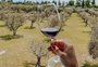 Dia do Malbec: conheça mais sobre a uva e descubra alguns rótulos para comemorar a data