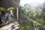 PORTO ALEGRE, RS, BRASIL,  29/04/2021-Escola Municipal Neusa Goulart Brizola, também não reabriu por problemas com o mato bem alto precisando de manutenção. Foto: Jefferson Botega / Agencia RBS<!-- NICAID(14769531) -->