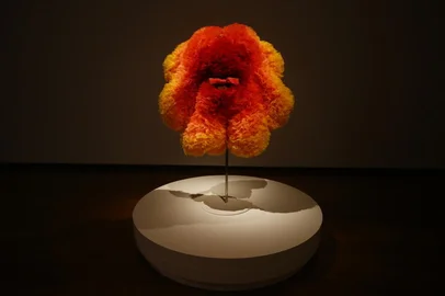 PORTO ALEGRE, RS, BRASIL,  29/04/2021- Fundação Iberê Camargo abre 5 exposições:Tomo Koizumi. Foto: Félix Zucco / Agencia RBS<!-- NICAID(14769770) -->