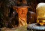 "Indiana Jones 5": preparação de Harrison Ford inclui pedaladas de 64 quilômetros por dia