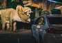 Porto Alegre terá safári em formato drive-in com réplicas de dinossauros; veja fotos