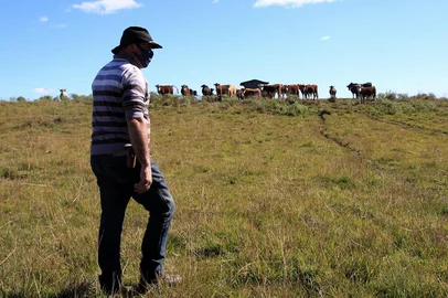 JAQUIRANA, RS, BRASIL, 13/05/2021 - Os pecuaristas dos Campos de Cima da Serra estão preocupados com o que a aparenta ser uma quadrilha especializada em abigeato. Os criminosos atacam nas madrugadas, com cavalos para recolher o gado no campo e embarcar em caminhões. Apenas na rota entre São Francisco de Paula e Jaquirana, na RS-110, foram sete pecuaristas atacados e mais de 116 animais levados. NA FOTO: pecuarista Daniel Rauber e sua propriedade. (Marcelo Casagrande/Agèncai RBS)<!-- NICAID(14782378) -->