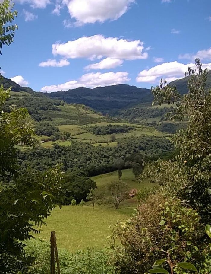 Acervo família Masera / divulgação Acervo família Masera / divulgação