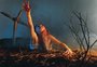 Novo filme da franquia "Evil Dead" será lançado em plataforma de streaming