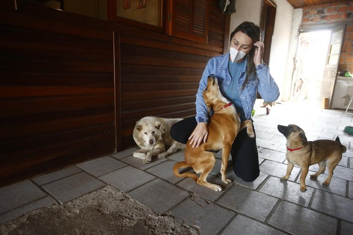 Félix Zucco / Agencia RBS