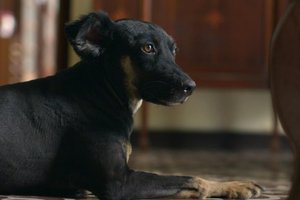 Divulgação / Netflix