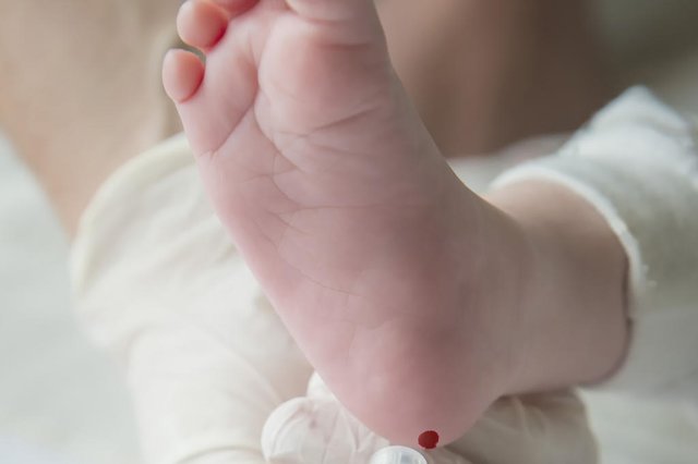 Teste do Pezinho, neonatal, bebê, enfermeira, criança. Foto: Fernando /stock.adobe.comIndexador: Fernando SacoFonte: 290864513<!-- NICAID(14513075) -->