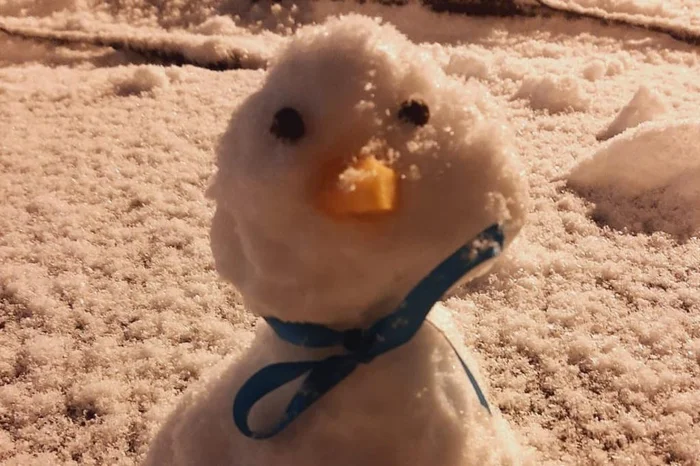 Endrigo Sedrez / Divulgação Endrigo Sedrez / Divulgação