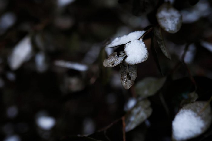 RS teve ao menos 15cidades com temperaturas negativas neste amanhecer