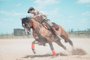 O veterinário Ricardo Wrege é ginete e tem centro de treinamento de cavalos em Jaguarão<!-- NICAID(14850176) -->