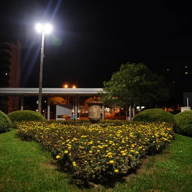 CAXIAS DO SUL, RS, BRASIL (04/03/2019)Prefeitura de Caxias do Sul substituirá luminárias com lâmpadas de vapor de sódio por luminárias de LED. Na foto, luminárias instaladas no pátio em frente ao Centro istrativo. (Antonio Valiente/Agência RBS)<!-- NICAID(13981847) -->
