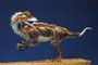 **A PEDIDO DE IAREMA SOARES**06/08/2021 - Guinness confirma que os dinossauros mais antigos do mundo foram encontrados no RS. FOTO: Gabriel Mello / Arquivo Pessoal<!-- NICAID(14856301) -->