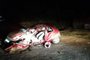 Um grave acidente entre um carro e um micro-ônibus deixou uma mulher, de 44 anos, e o filho dela, de 9 anos, feridos na noite de sexta-feira (6). A colisão foi registrada por volta das 19h45min, no quilômetro 115, da RSC-453, entre Farroupilha e Bento Gonçalves. O cachorro da família, um Pinscher, que estava na caixa de transporte, não resistiu aos ferimentos. <!-- NICAID(14857029) -->