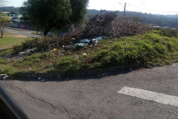 Carlos Alberto Borsarini / Divulgação