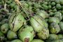 PORTO ALEGRE, RS, BRASIL, 29/01/2020- Venda de coco,  mostrar o que faz o coco ser mais caro aqui do que em outras regiões do Brasil. (FOTOGRAFO: FERNANDO GOMES / AGENCIA RBS)<!-- NICAID(14402145) -->