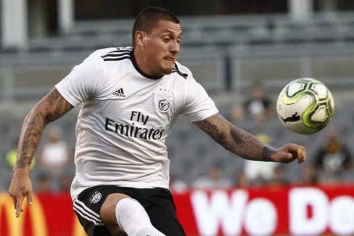 Benfica / Divulgação Benfica / Divulgação
