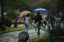 CAXIAS DO SUL, RS, BRASIL (10/08/2021)ia de chuva em Caxias do Sul. (Antonio Valiente/Agência RBS)<!-- NICAID(14858640) -->