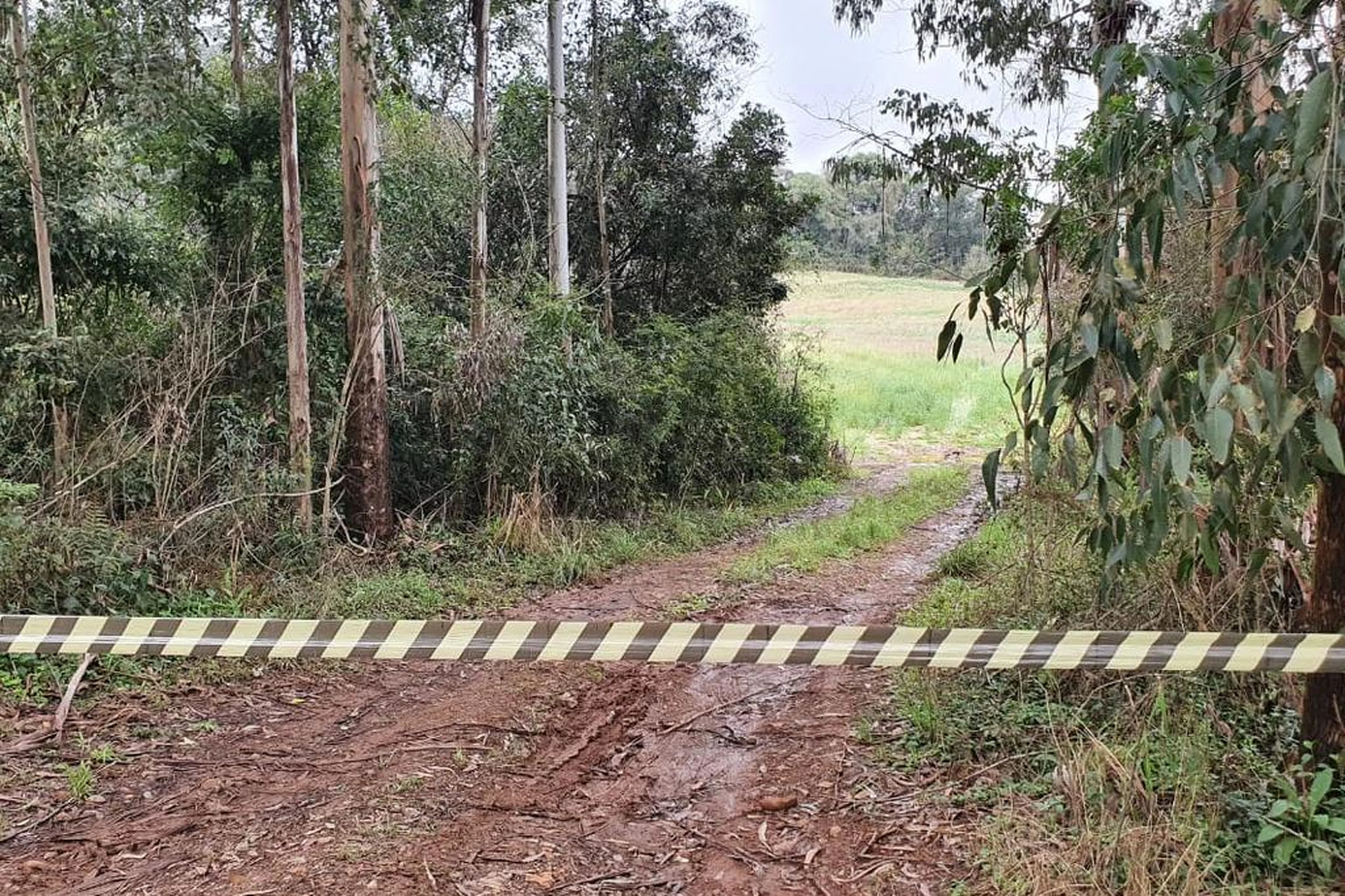 Polícia Civil/Divulgação