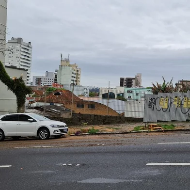 Corte de dois jacarandás na Bento Gonçalves, entre Feijó Junior e Coronel Flores.<!-- NICAID(14898730) -->