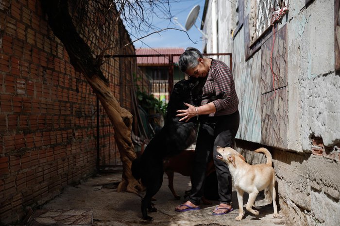 Adriana afirma que crise causada pela pandemia fez aumentar a quantidade de cães e gatos rejeitados