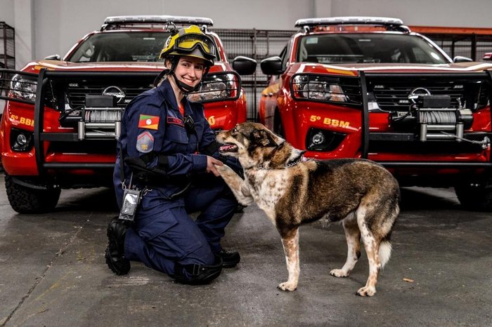 Calendário dos BOMBEIROS 🔥🚒