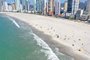 A prefeitura de Balneário Camboriú, em Santa Catarina, liberou nesta terça-feira (28) o acesso do público ao trecho de dois quilômetros de alargamento da faixa de areia da praia na região central da cidade.<!-- NICAID(14901594) -->