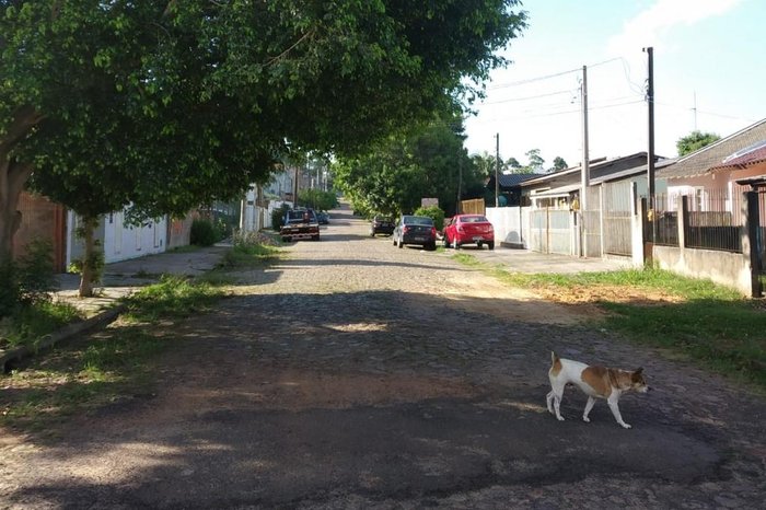 Arquivo Pessoal / Arquivo Pessoal