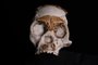 This photograph taken in Johannesburg on November 4, 2021 shows a full-scale reproduction of the skull of a hominid named Leti, named after a seTswana word letimela meaning the lost one, found inside the Rising Star Cave System at the Cradle of Humankind World Heritage Site near Maropeng. - Fossils found deep in a South African cave formed part of a hominid childs skull, apparently left on an alcove by fellow members of her species 250,000 years ago, scientists said on November 4, 2021. The latest find adds to the riddle surrounding Homo naledi -- a species of Stone Age hominids discovered less than a decade ago in a region called the Cradle of Humankind, named after the stunning fossils unearthed there. (Photo by WIKUS DE WET / AFP)<!-- NICAID(14933401) -->