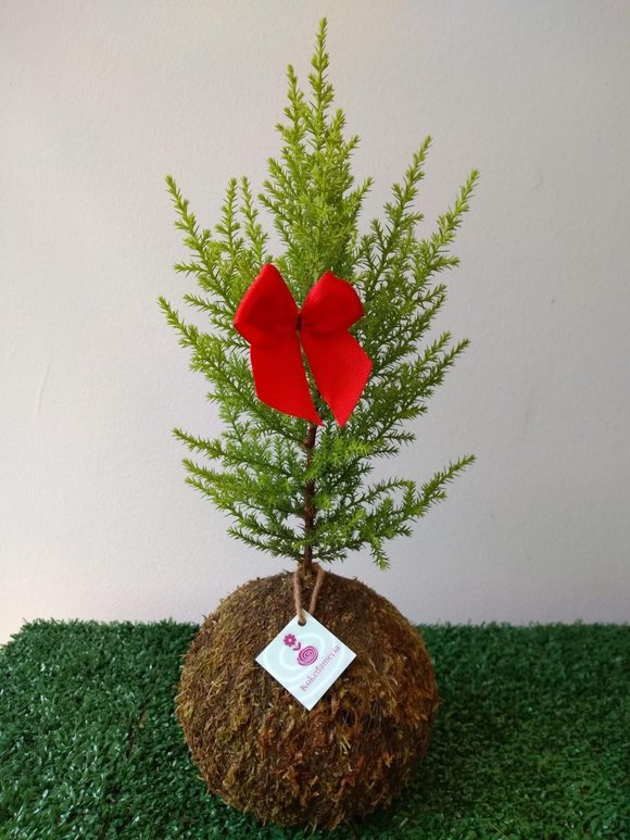 Decoração de Natal: onde comprar em Porto Alegre | Donna
