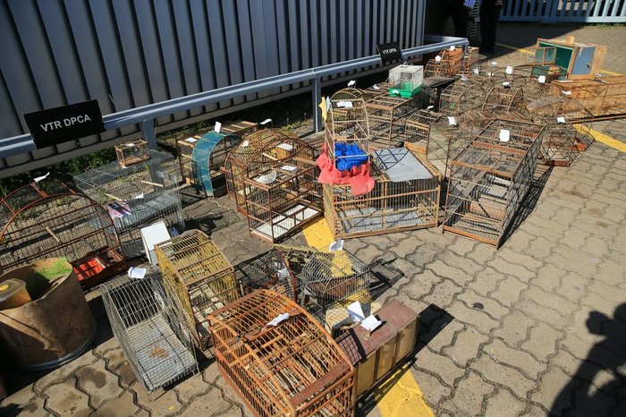 Os 29 suspeitos identificados tiveram mandados de busca e apreensão cumpridos em suas residências