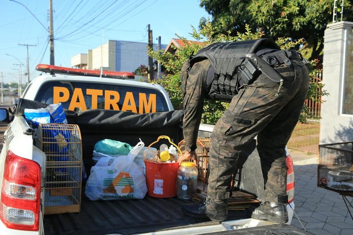 Apreensões feitas durante a operação policial