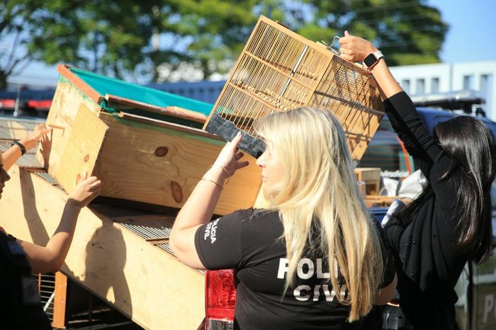 Criminosos tinham até tabela de preços e ofereciam, por exemplo, pássaros por R$ 2,5 mil
