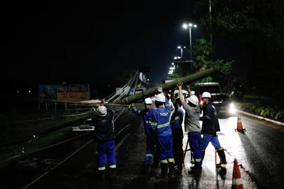 PORTO ALEGRE, RS, BRASIL - 25.11.2021 - Temporal derruba poste na Assis Brasil próximo a freeway. (Foto: Anselmo Cunha/Agencia RBS)<!-- NICAID(14951522) -->