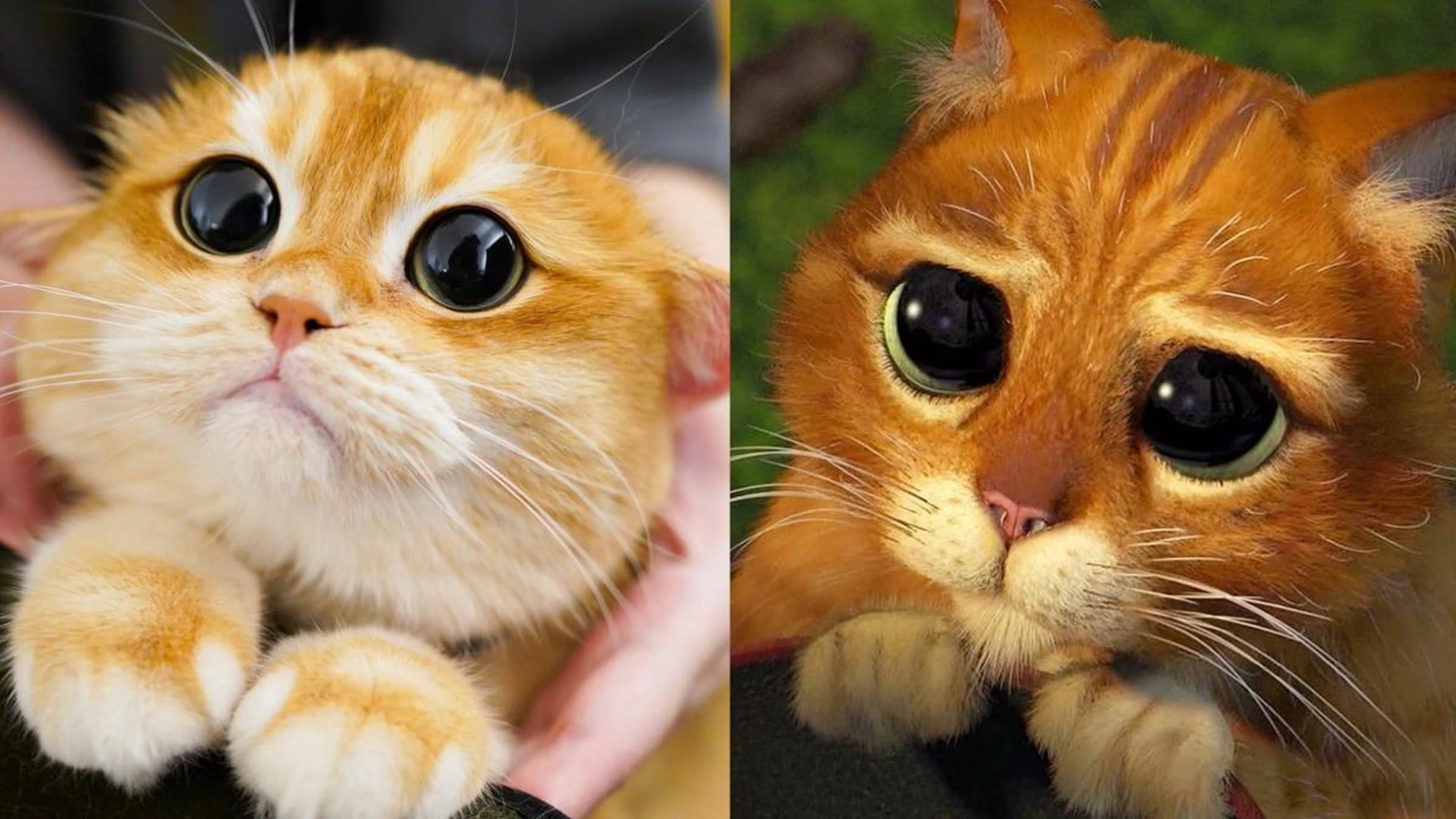 Instagram/Reprodução