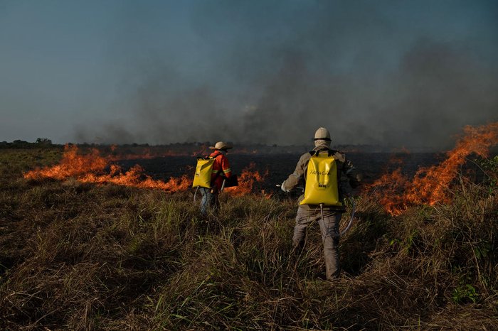 CARL DE SOUZA / AFP CARL DE SOUZA / AFP