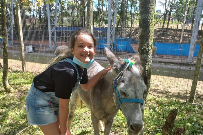 Abatedouro clandestino vendia carne de cavalo como sendo de boi em